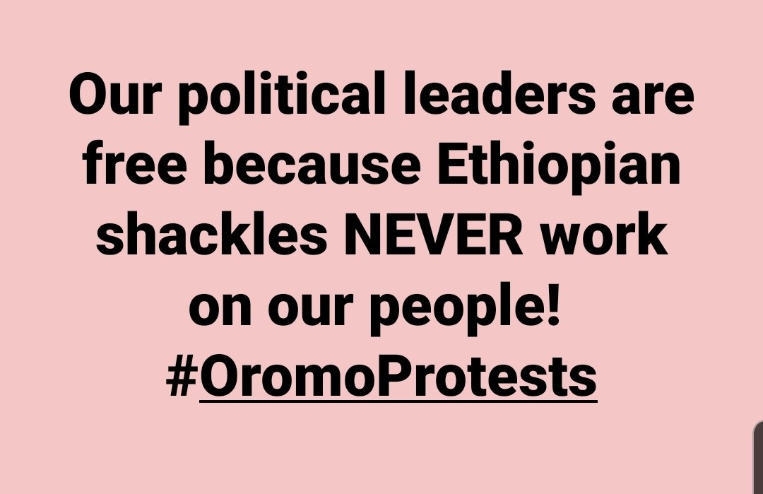 ToltuTufa's tweet photo. Can I hear  woop woop?!!!
Freeing all political prisoners is the way to authentic peace in #Ethiopia #OromoProtests https://t.co/sDNgGZxjES