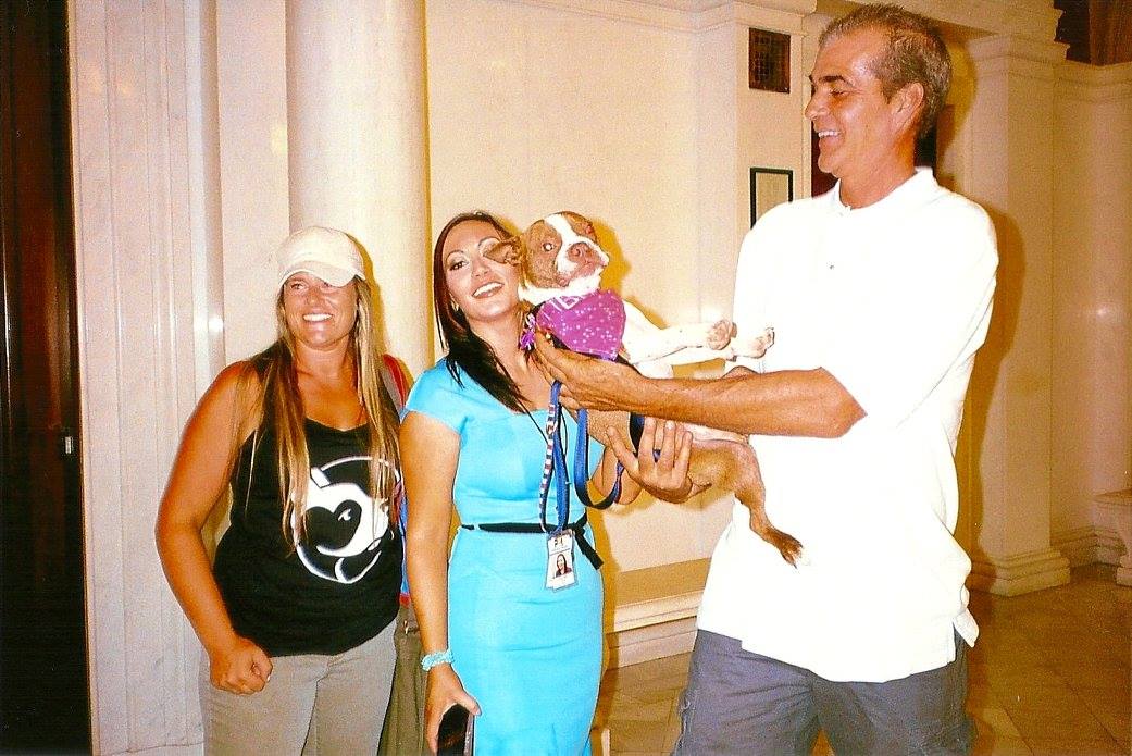 DawnWhiteNews's tweet photo. TBT the day #LibresLaw passed in the Pennsylvania General Assembly, which created a felony statue for severe animal abuse in the state. 
What do you remember about that day? 
#LibreStrong #ThrowbackThursdays #TBThursdays https://t.co/K1MSEfb6Rv