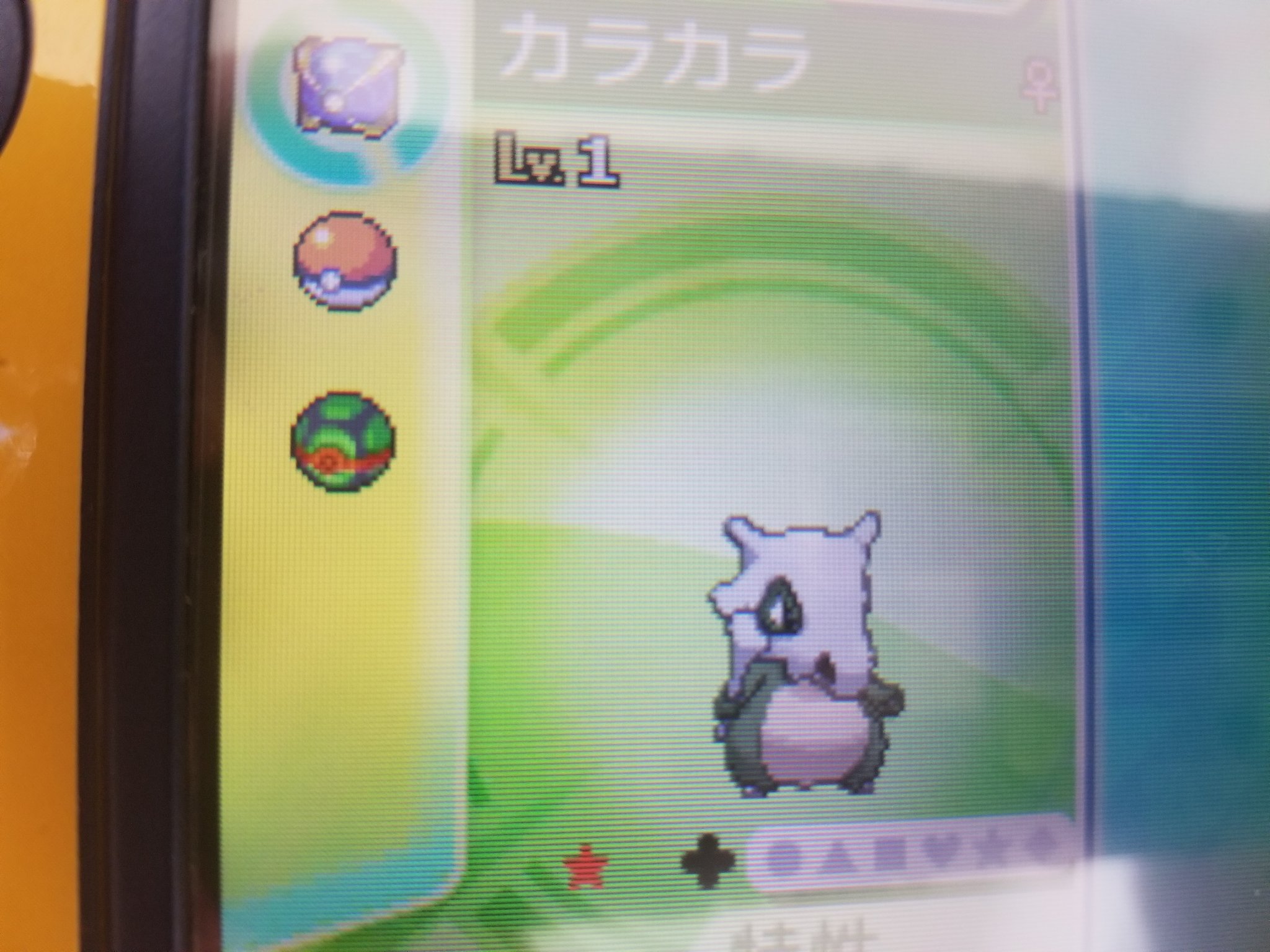 秋雪 ゲーム用 Dmでもオッケー 早くきてくれた Umでカラカラの色違い孵化 できました 通常特性でs0 これでアローラガラガラを剣盾に持っていけるのです しかしs0アローラガラガラ育成論わからぬ T Co