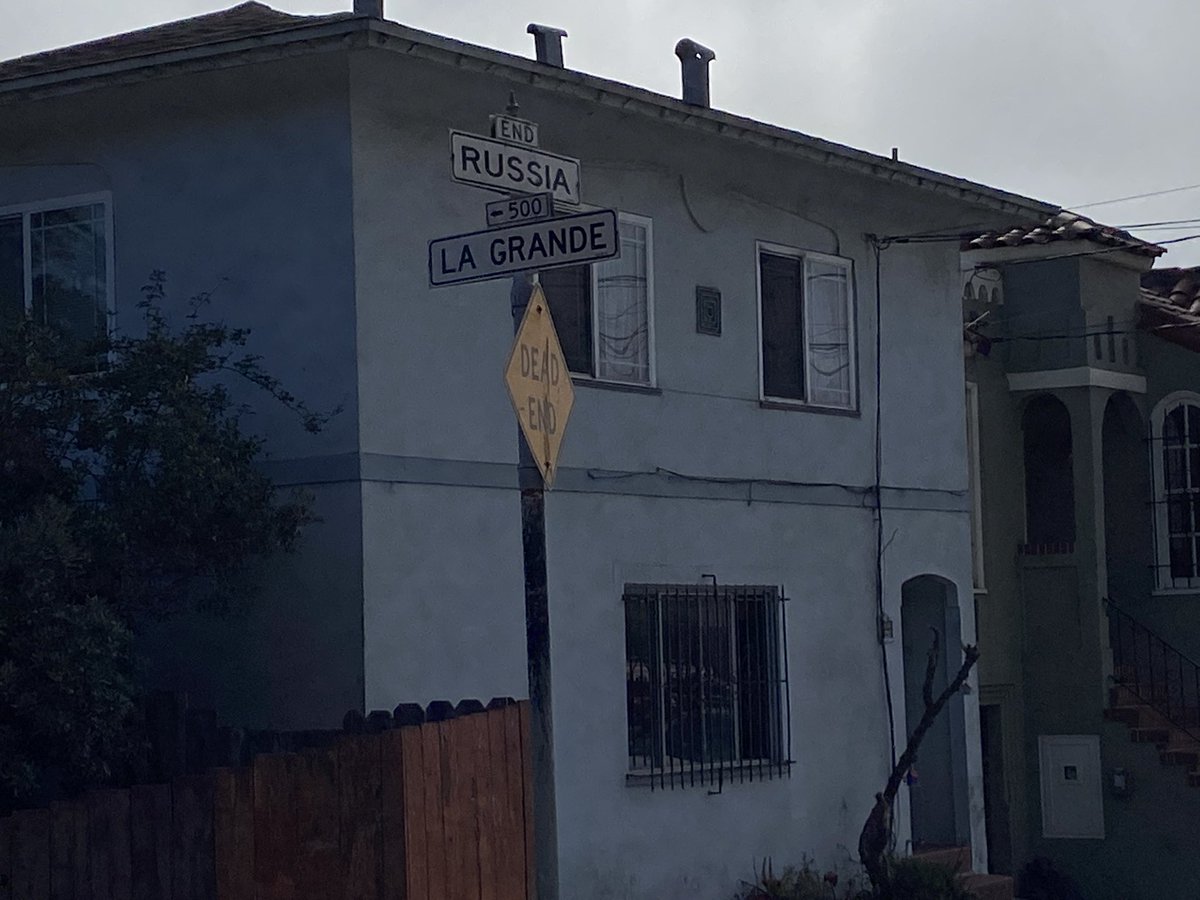 66wendys's tweet photo. @SF311 not sure if this is your purview, but there’s a dead bird (dove?), with it’s mate watching over, near the intersection of Russia and La Grand. Just down the path into the park (McLaren above Crocker Amazon). So sad😢 https://t.co/MDUjX4eXVD