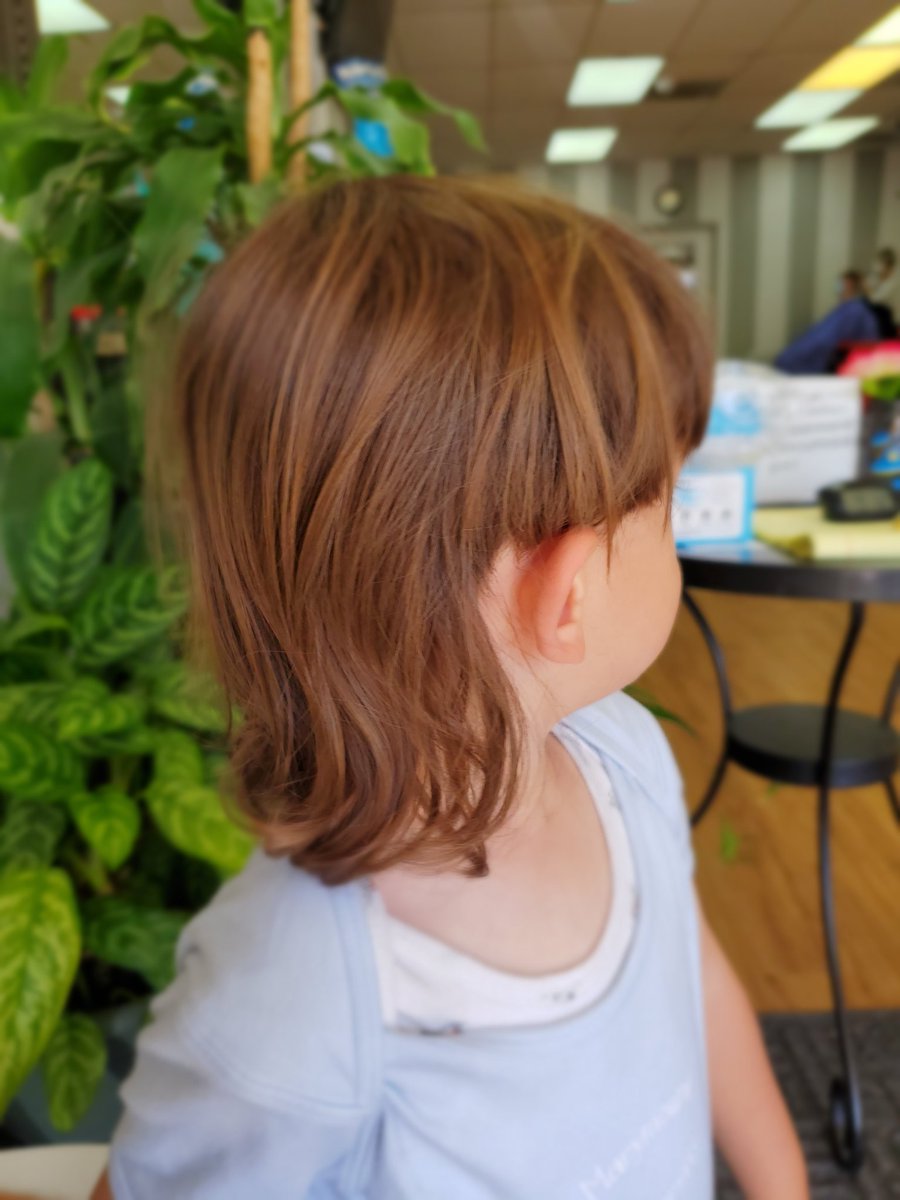 YousefMunayyer's tweet photo. Big news in our household today as it was finally time to do away with our toddler's rona mullet. Captured here for posterity. #partyintheback #ronaflow https://t.co/aCAKSBSq85