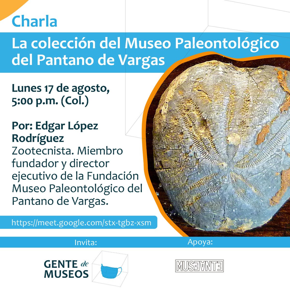 museopantano's tweet photo. https://t.co/GHuOy5STNI #Museo #paleontología #Historia #natural https://t.co/xqwIPHSy9b