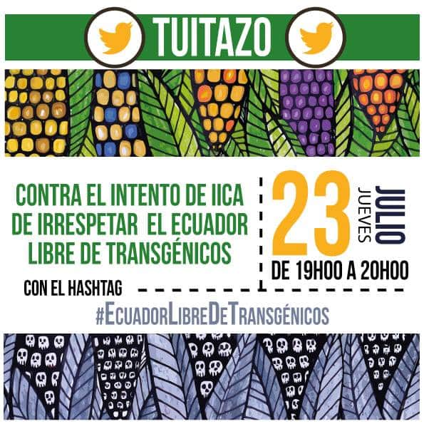 JuanMoyon2's tweet photo. La Constitución en los Art. 15, 73 y 401 prohíbe el ingreso de los transgénicos al país, la LORSA también reafirmar que el Ecuador es un país libre de transgénicos, COPISA Garantizar la Soberanía Alimentaria #EcuadorLibreDetransgenicos Basta de  atropellos a la decisión Popular. https://t.co/WZLlAqqIsT