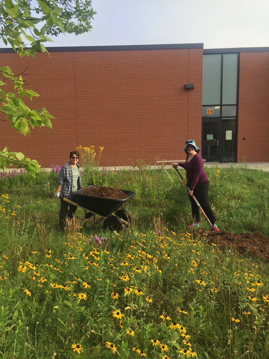 pollardclass477's tweet photo. New mulched path through the school pollinator prairie garden! 🐝 Take a walk &amp; enjoy the many blooming native flowers!🌻 https://t.co/HuErexeDBE
