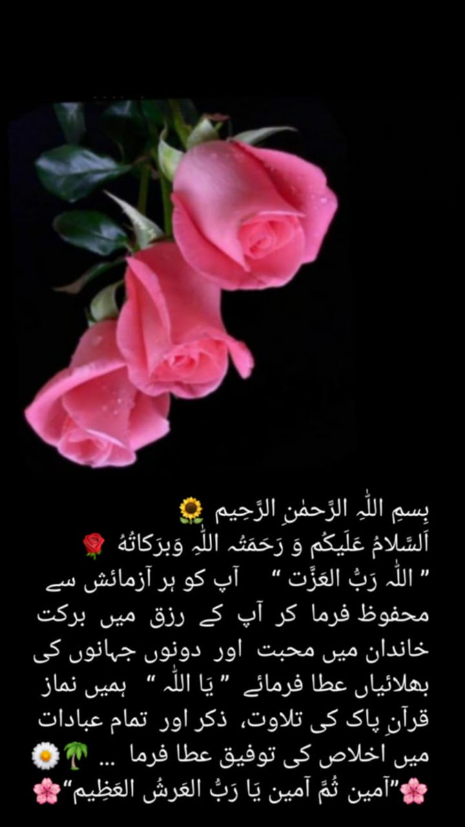 💞Barkha Butt💞پاکستان سنی تحریک 💞 tweet media