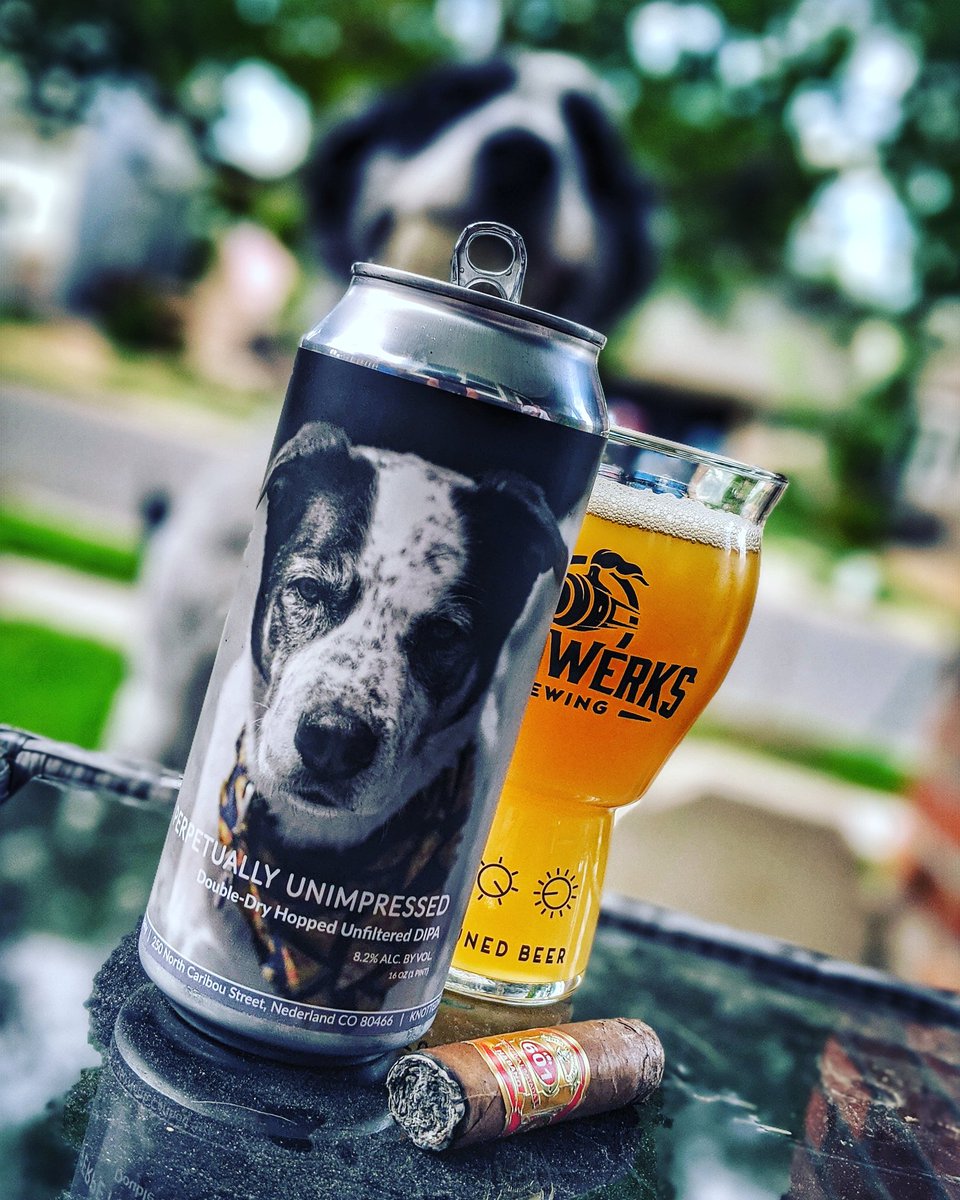 drdrewdown's tweet photo. Perpetually Unimpressed 🍻🐶 #KnottedRoot

#CraftBeer #DrinkLocal #Cigars #BOTL https://t.co/VtXmlrMk8W
