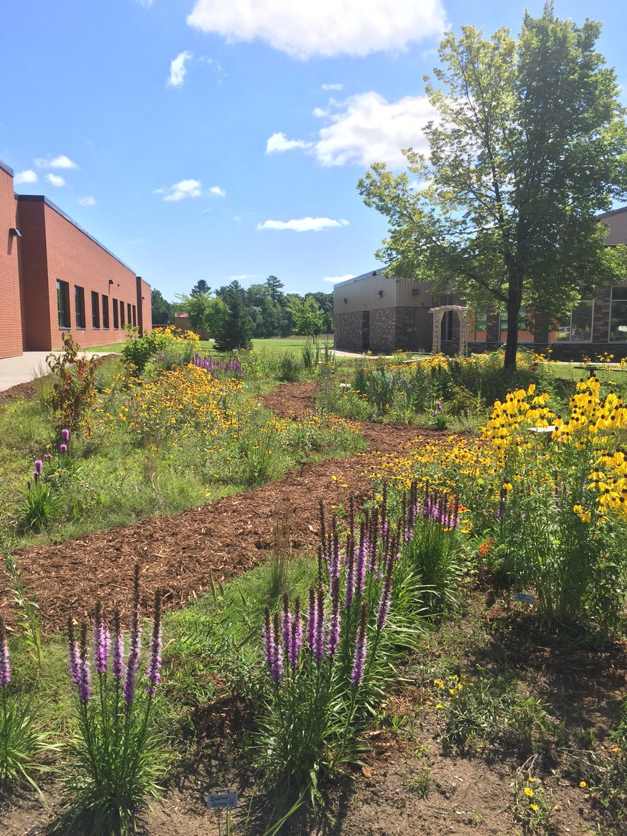 pollardclass477's tweet photo. New mulched path through the school pollinator prairie garden! 🐝 Take a walk &amp; enjoy the many blooming native flowers!🌻 https://t.co/HuErexeDBE