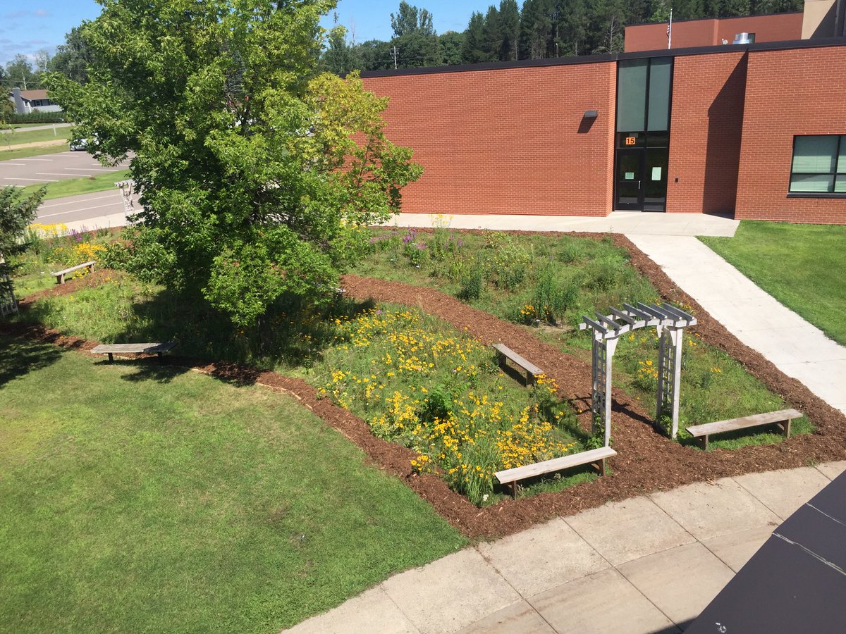 pollardclass477's tweet photo. New mulched path through the school pollinator prairie garden! 🐝 Take a walk &amp; enjoy the many blooming native flowers!🌻 https://t.co/HuErexeDBE