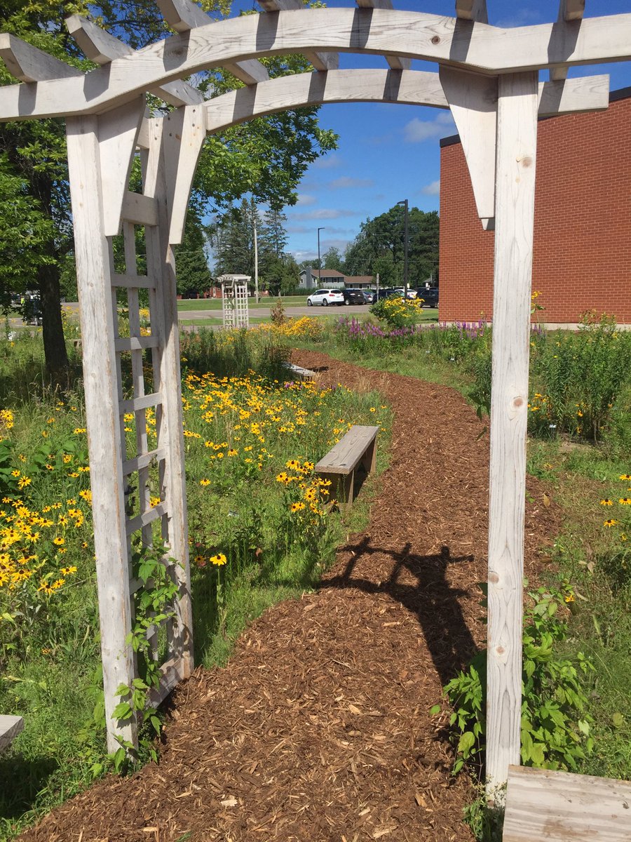 pollardclass477's tweet photo. New mulched path through the school pollinator prairie garden! 🐝 Take a walk &amp; enjoy the many blooming native flowers!🌻 https://t.co/HuErexeDBE