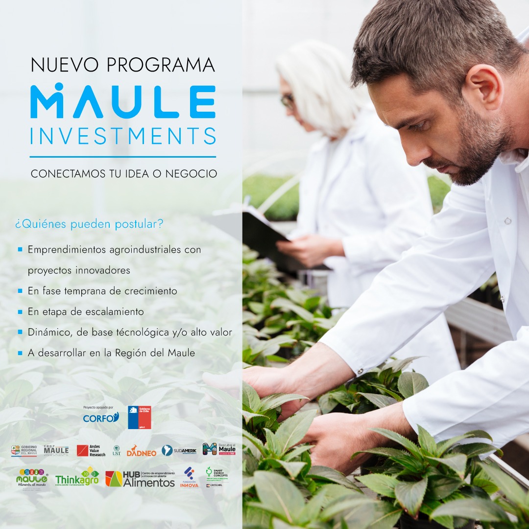 PER Maule Alimenta tweet media
