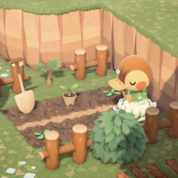 molly fell asleep after eating sandwich,, 🤲🏼🦆
#acnh #animalcrossing