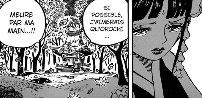 Jusqu'à ce chap, bcp (moi compris) pensaient qu'il mourrait des mains du clan Kozuki, le développement de certains perso semblait tendre dans cette direction.C'est en grande partie pour ça que bcp doutent de sa mort, et qu'il aurait survécu.