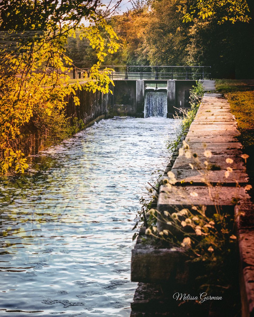 melissagorman72's tweet photo. Took this on the canal. ❤️ https://t.co/jkZhy1cYU1