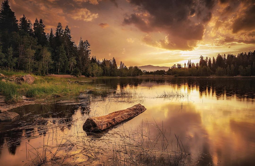 VisitUtahValley's tweet photo. Sunsets at Payson Lakes are... πππ
π·: @kaisaleephotography (Instagram)
#exploreutahvalley #findyourhappyhere #utahcounty #utahvalley #paysonutah #paysonlakes #utahisrad #utahsunsets #gooutside https://t.co/k9BdSX8Y9I