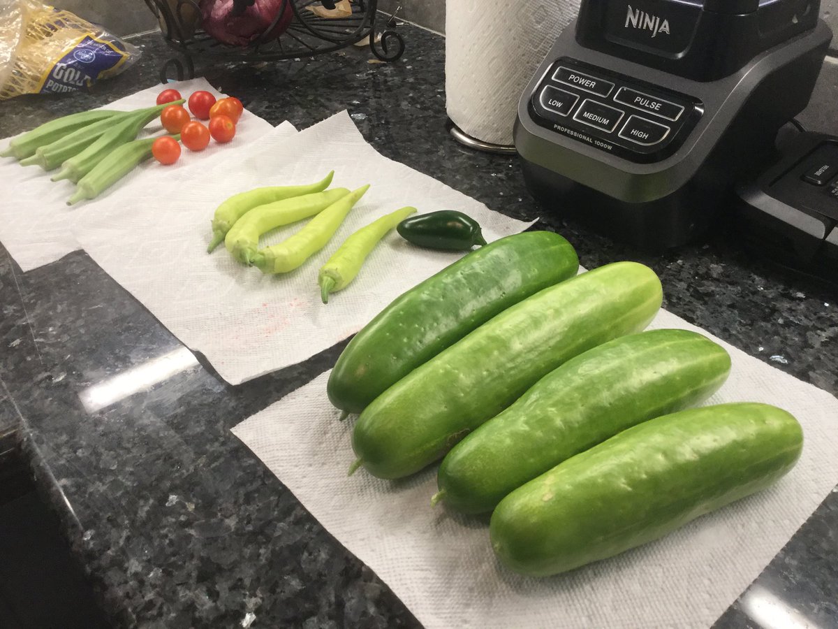 ComiskeyDaniel's tweet photo. Today’s harvest from the Comiskey Garden! https://t.co/n5SnpCOOQX
