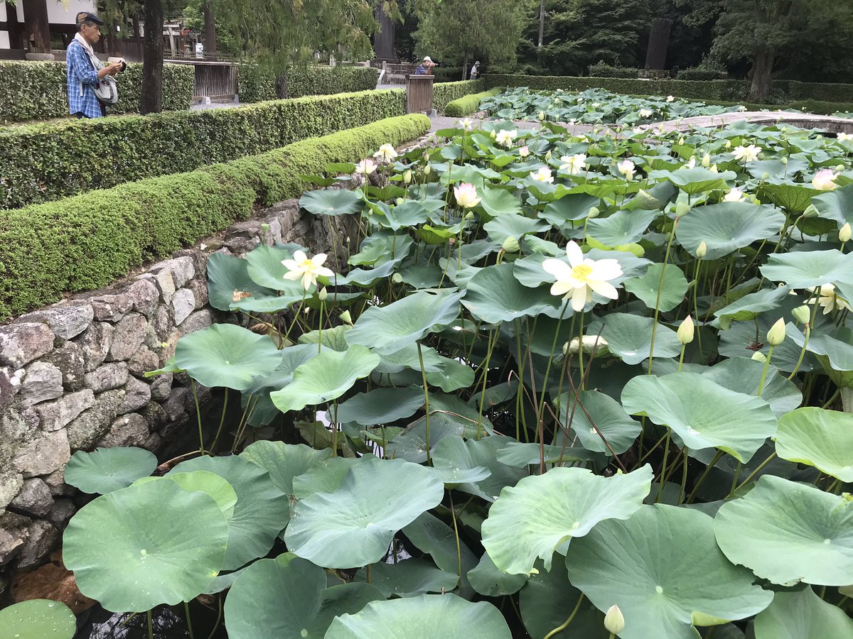 東福寺 霊源院 Reigen In Twitter