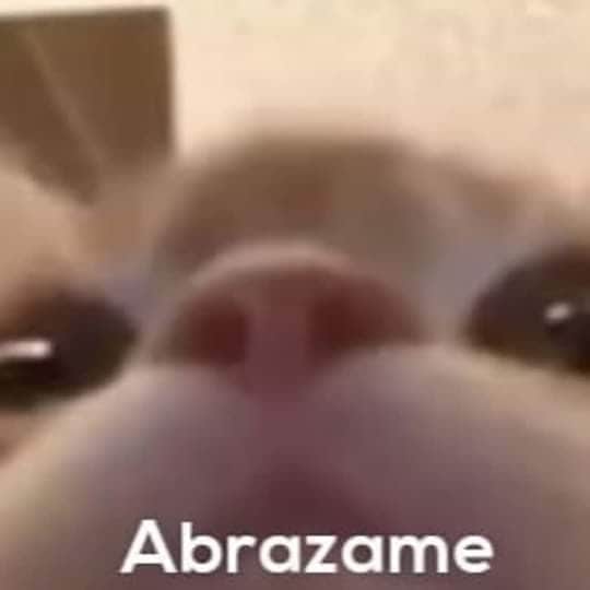 BiscuitsLittles's tweet photo. @dumbasscoffe Gracias https://t.co/zJaDNivJUw