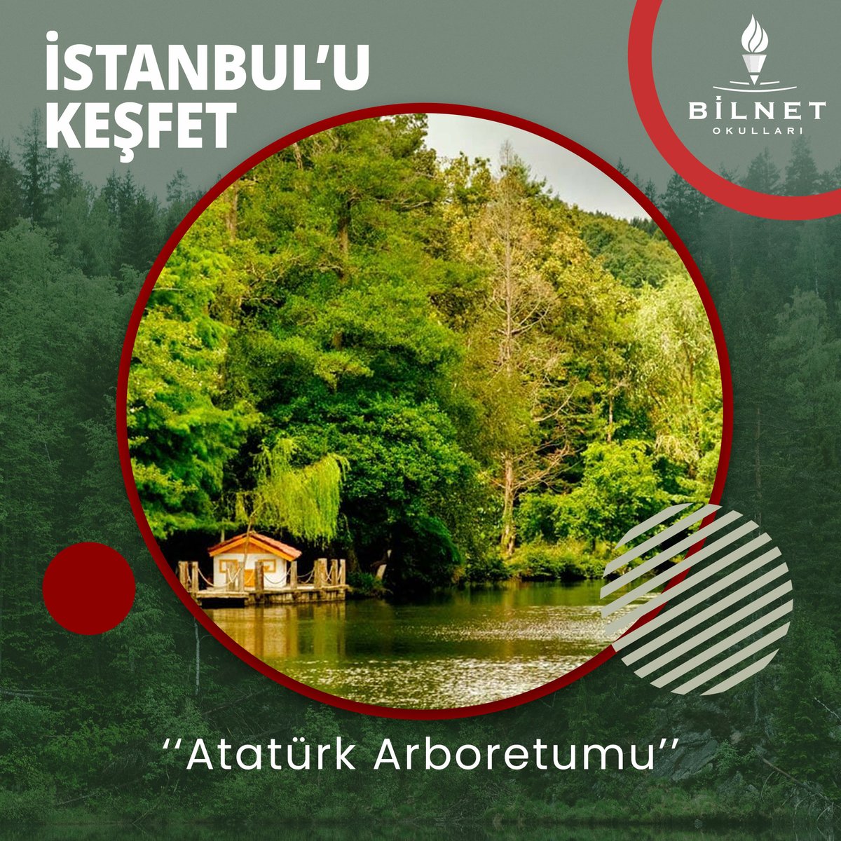 Şehrini Keşfet

#BilnetOkulları #BilnetleGelecekDahaNet #ŞehriniKeşfet #İstanbul #İstanbuluKeşfet #AtatürkArboretumu