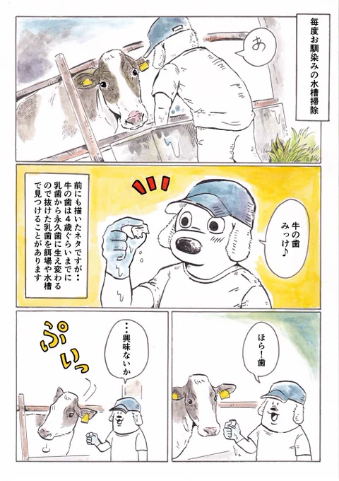 『続・牛の歯』

つい拾ってしまう。 