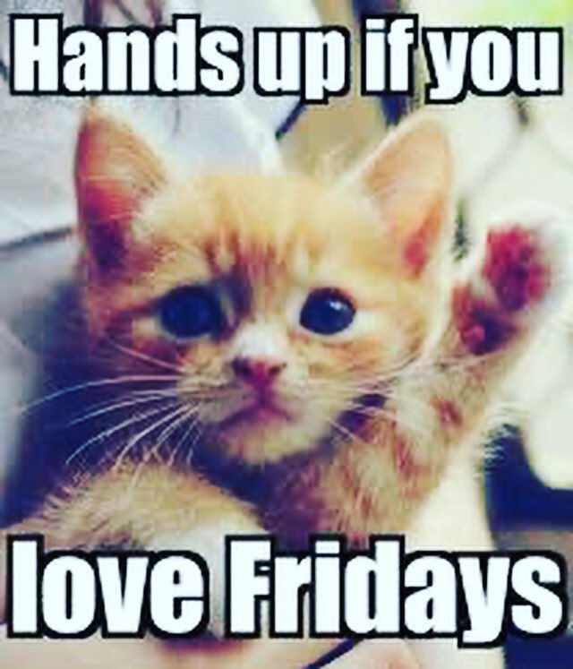 The Goblin Fruit Kitchen Hull (@goblinhull) on Twitter photo 