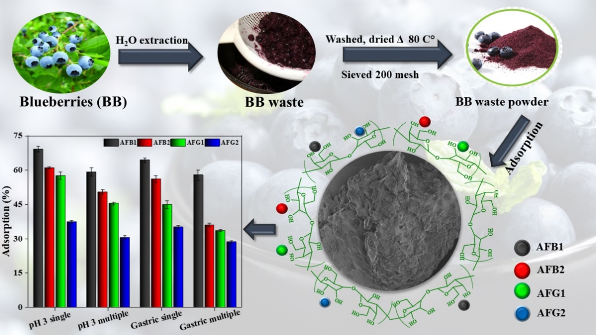 Toxins_MDPI's tweet photo. "Assessing the #Aflatoxins Mitigation Efficacy of #Blueberry Pomace #Biosorbent in #Buffer, #Gastrointestinal Fluids and Model #Wine
https://t.co/RVT2TPgb9X
#mdpitoxins #mycotoxins https://t.co/xG7RHUIZzK