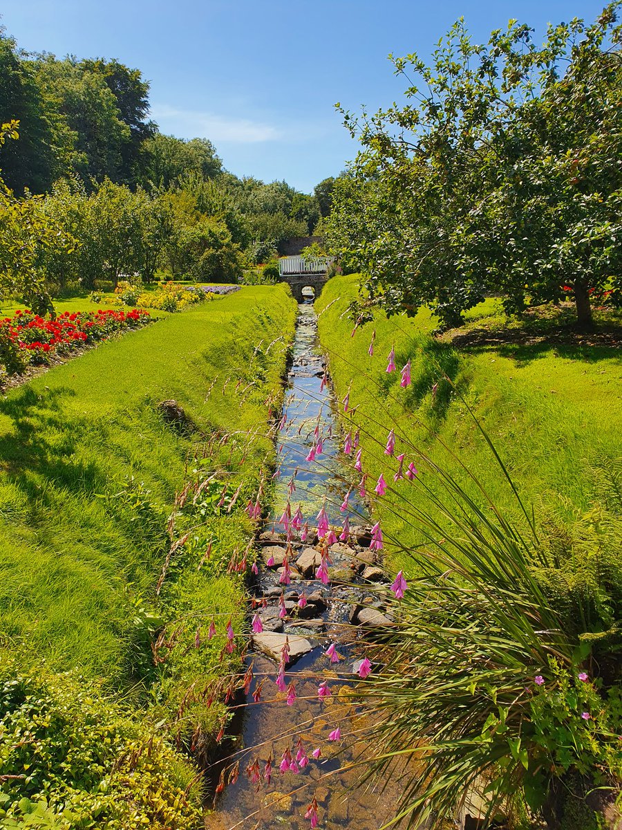 Emziiepop's tweet photo. The Sunny South East 😍 I can't believe I had never visited there before this week. So much to do &amp;so many gorgeous places to see #VisitWexford @visitwexford https://t.co/aqiTAGexPF