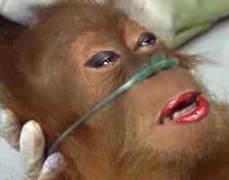 OyeLoui's tweet photo. DEAR GOD OLMIGHTY @taylorswift13 GOT US ALL LIKE. #Folklore #FolkloreTonight https://t.co/khjtJJb2ty