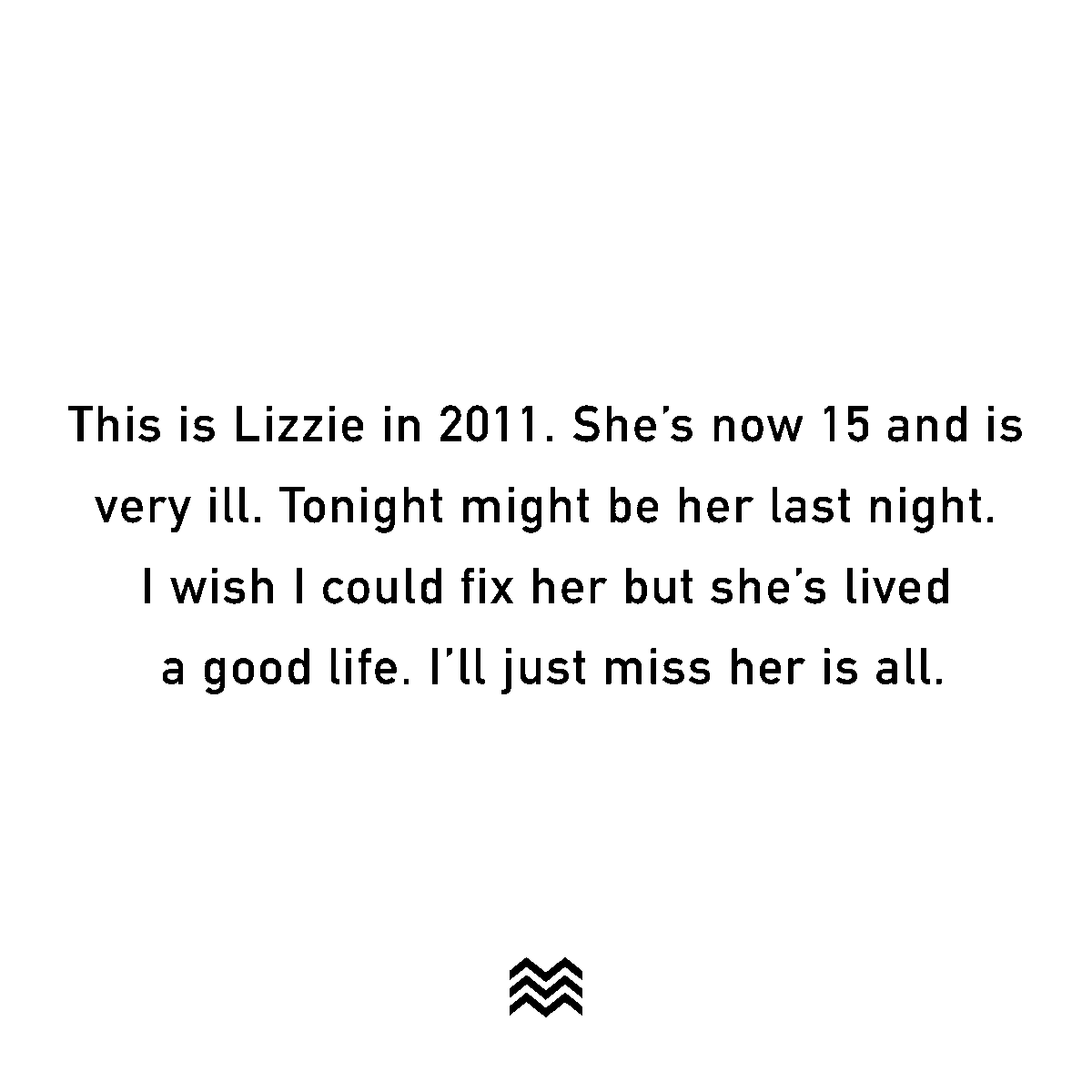 museofmeaning's tweet photo. "This is Lizzie in 2011. She's now 15 and is very ill. Tonight might be her last night. I wish I could fix her but she's lived a good life. I'll just miss her is all."
- Anonymous
#tofix https://t.co/oPBrxP1MTi