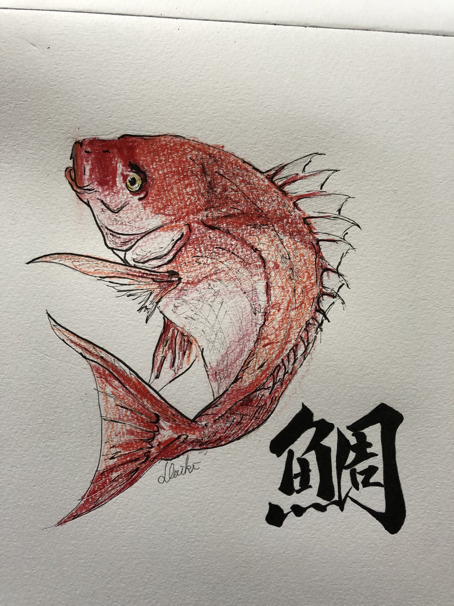 チャリ狂いのナカヤマ 在 Twitter 上 鯛 字は筆ペンでいきました 絵描きさんと繋がりたい 鯛 イラスト 習字 筆ペン T Co At9dvhedj3 Twitter