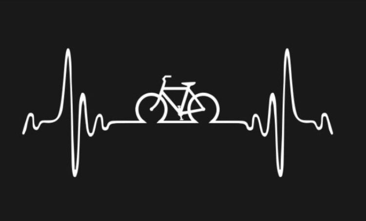 PulsoWine's tweet photo. “Cuando el espíritu está decaído, cuando el día parece oscuro, cuando el trabajo se vuelve monótono, cuando parece que no vale la pena tener esperanza, móntate en una bicicleta y da una vuelta, sin pensar en más que el paseo que estás dando.” Arthur Conan Doyle
#pulsowines https://t.co/uQ3ddyxKFr