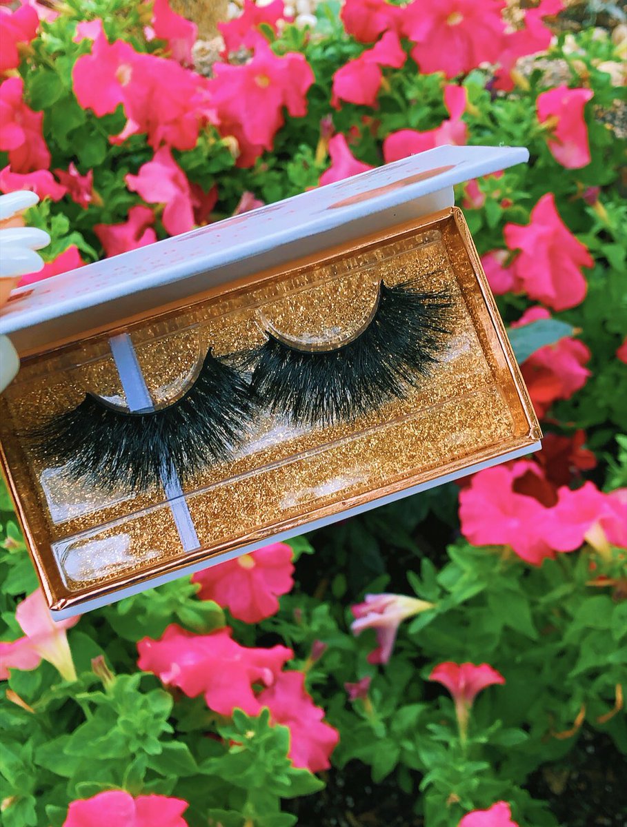 TheBlinkBank's tweet photo. Shop all our styles in the link below🛍🤩

https://t.co/SJYR1JSRqh…

#minklashes #striplashes #lashes #qualitylashes #buylashes #needlashes #shoplashes #blackowned #femaleowned #lightlashes #longlashes #dramaticlashes #naturallashes #eyemakeup https://t.co/2h6ozdCtSc
