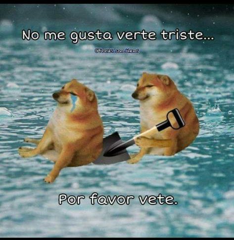 Alojesusmarin tweet media