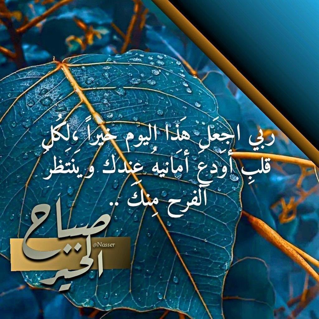 J_ALedeib's tweet photo. صباح الخيرات🌹🌹 https://t.co/WfcMFDyGpS