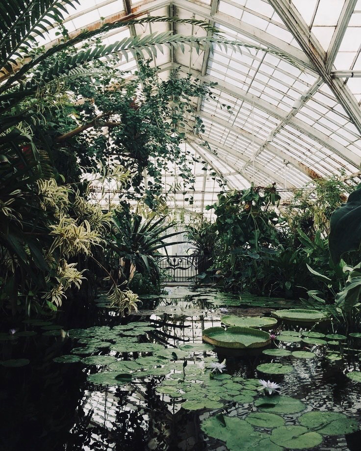 MeatyContainer's tweet image. cookie- 

@watchersimp