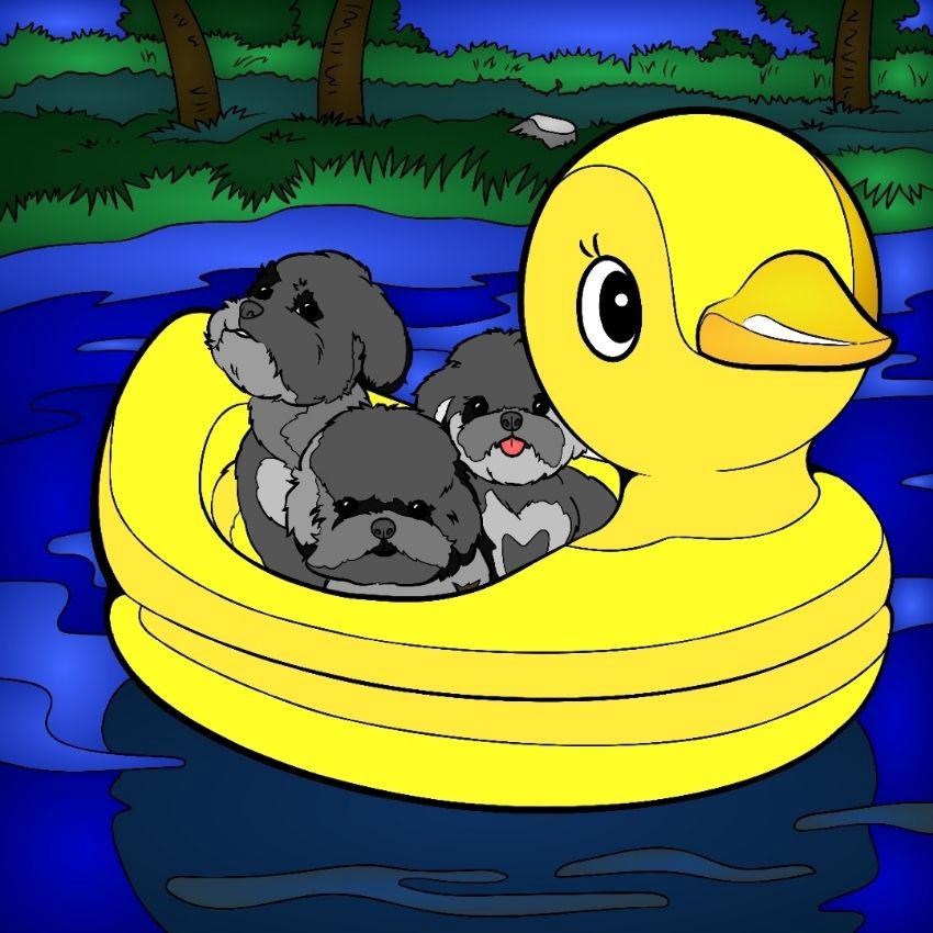 ColorflyApp's tweet image. Basket Puppies VS Duck boat Puppies. 🐶 🧺 🦆
Which pic do you like better? And Color puppy pics in your way! 🎨
❥ #colorfly #colorflyapp #freeapp #coloringapp #pigmentapp #adultcoloringapp #coloring #coloringbook #coloringbooks #coloringtime #adultcoloring #therapy #stressfree