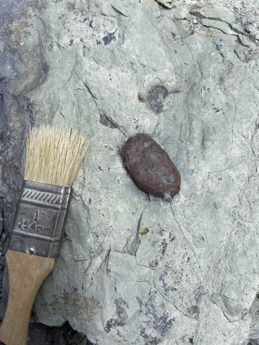 Adam Marsh tweet media