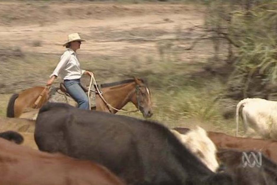 HiringMark's tweet photo. Twitter - we need your help! Our #Queensland office has had a call looking for someone who has been in the agriculture sector who can ride horses. $250 a day droving cattle throughout QLD. 3-4 months. Leave tomorrow! Call Ben +617 3118 0125 https://t.co/fRzrGksFuR