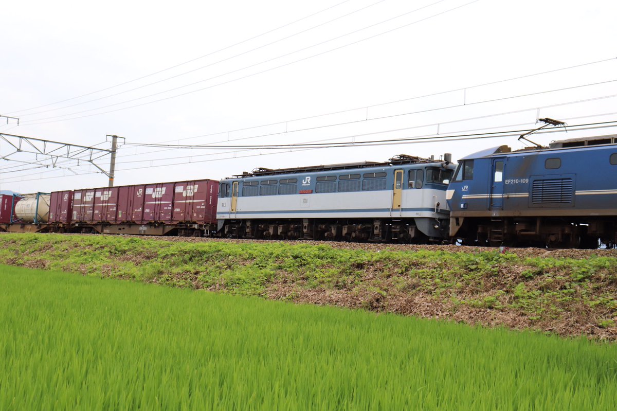 fkistys's tweet photo. EF210-109+EF65-2138ムド
5085レ 2020/7/24
息子がおじいちゃんを引っ張っているみたいです。
もうちょっと桃太郎が手前に来るタイミングでシャッターを切るべきだった…
まだまだ練習が必要ですね💦
#EF65 #EE210 #ムド https://t.co/XDj4fFp3q3