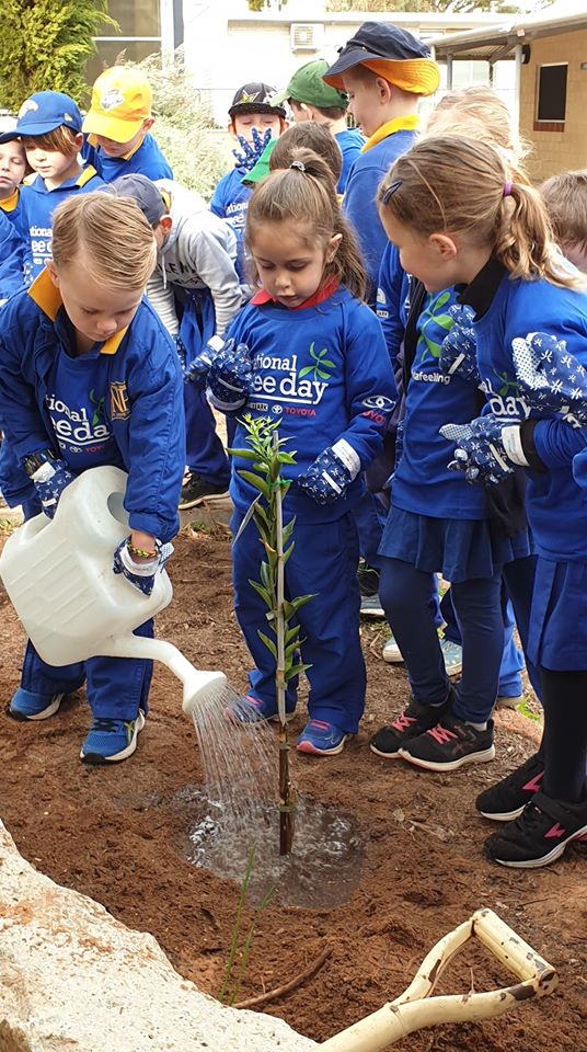 AvonToyota's tweet photo. #flashbackfriday Normally this time of the year we would be getting ready to celebrate #NationalTreeDay & #SchoolTreeDay. A few photos from our previous year's events where we've provided over 700 different trees.
@Toyota_Aus @nationaltreeday @planetark @MiaDaviesMLA https://t.co/2hULYWINrd