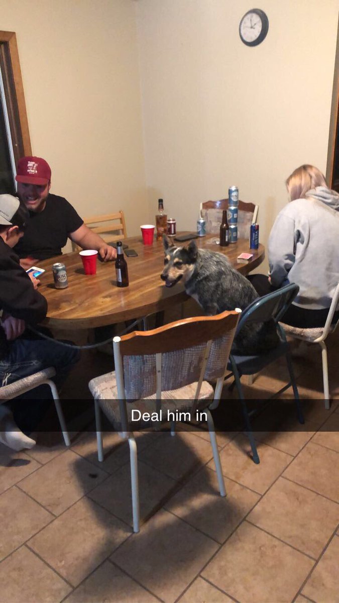 ColinLagge's tweet photo. @Stache_MLB Koe https://t.co/ZlnWnbUHMs