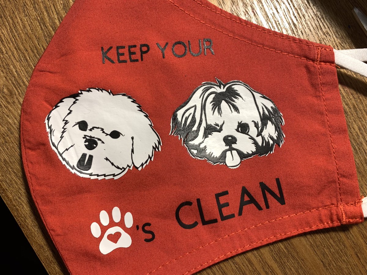 Carina B. tweet media