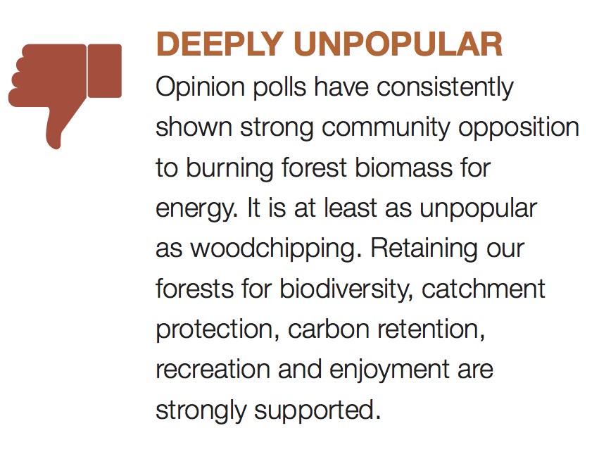 8/12 DEEPLY UNPOPULAR Opinion polls have consistently shown strong community opposition to burning forest biomass for energy. It is at least as unpopular as woodchipping.