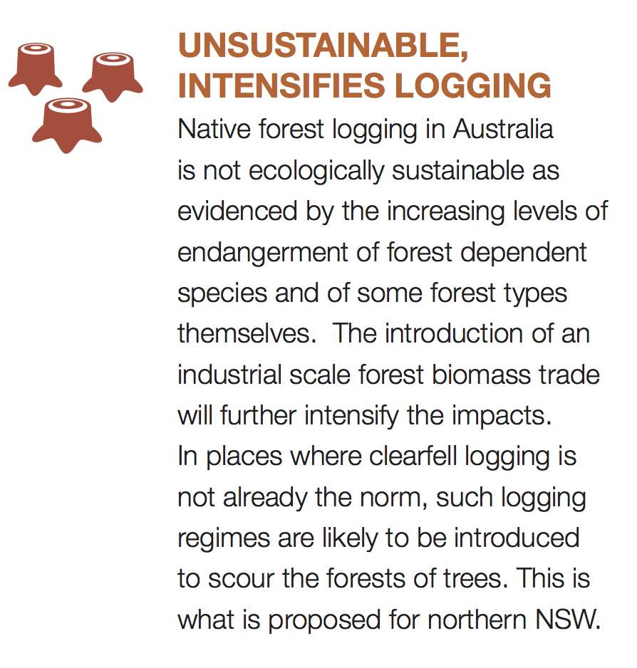 7/12 UNSUSTAINABLE, INTENSIFIES LOGGING Native forest logging in Australia is not ecologically sustainable as evidenced by the increasing levels of endangerment of forest dependent species and of some forest types themselves.