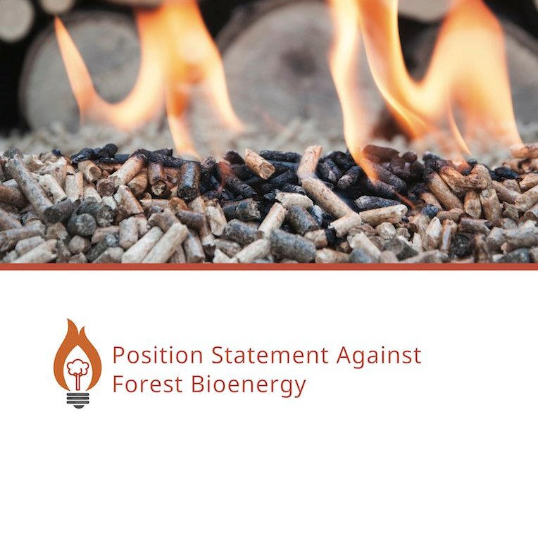 Impacts Of Using Native Forest Biomass For Energy 12 Facts  http://forestsandclimate.org.au/threats/impacts-of-using-native-forest-biomass-for-energy-fact-sheet/ Burning forest biomass for electricity creates a carbon debt that will take decades or even centuries to repay - if the forests are actually allowed to recover to their carbon carrying capacity.