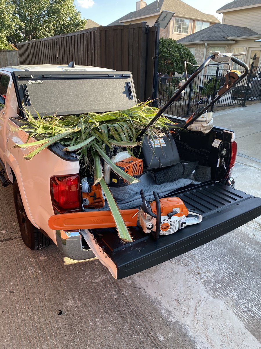 Cowboy_Lawn's tweet photo. We trimmed a palm tree today. @STIHLUSA MS271 chainsaw did it with ease. We do offer small tree trimming so dm to schedule https://t.co/GJfMLXpt1R