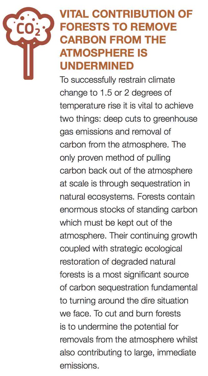 4/12 VITAL CONTRIBUTION OF FORESTS TO REMOVE CARBON FROM THE ATMOSPHERE IS UNDERMINEDTo successfully restrain climate change to 1.5 or 2 degrees of temperature rise it is vital to achieve two things: deep cuts to GHG emissions and removal of carbon from the atmosphere.