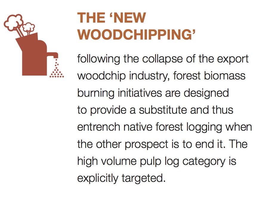9/12 THE ‘NEW WOODCHIPPING’Following the collapse of the export woodchip industry, forest biomass burning initiatives are designed to provide a substitute and thus entrench native forest logging when the other prospect is to end it.