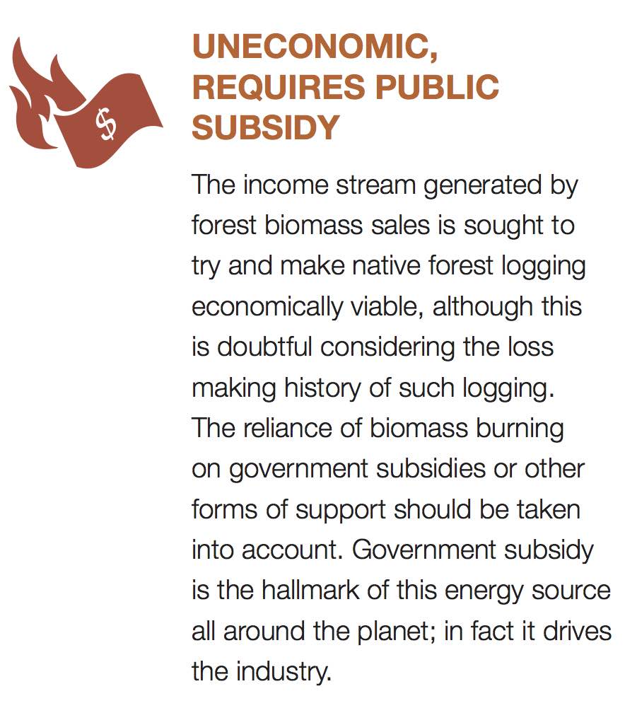 10/12 UNECONOMIC, REQUIRES PUBLIC SUBSIDYThe reliance of biomass burning on government subsidies or other forms of support should be taken into account. Government subsidy is the hallmark of this energy source all around the planet; in fact it drives the industry.
