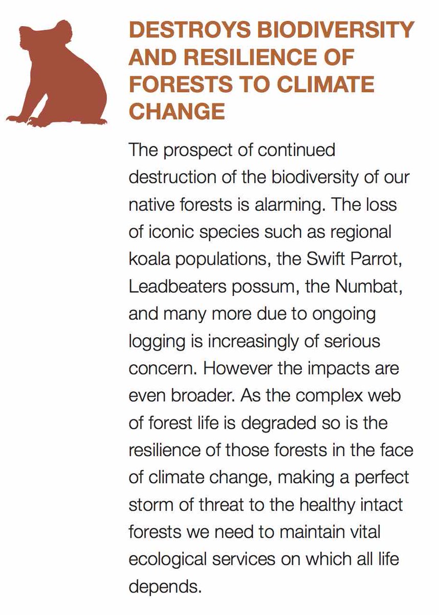 11/12 DESTROYS BIODIVERSITY AND RESILIENCE OF FORESTS TO CLIMATE CHANGEThe prospect of continued destruction of the biodiversity of our native forests is alarming. The loss of iconic species such as regional koala populations, the Swift Parrot, Leadbeaters possum, the Numbat..