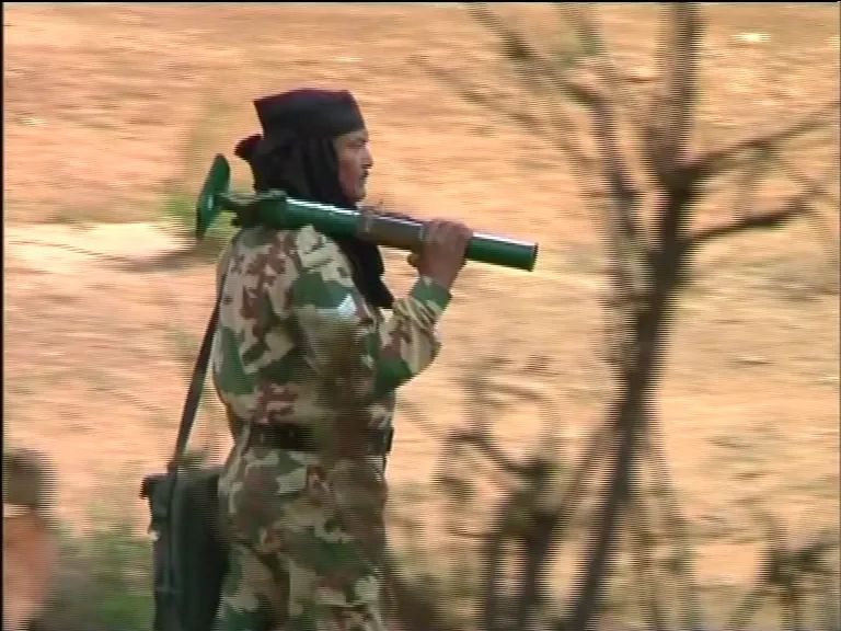 WEAPONS (USED) -Sig Sauer 556 (pic1), Sig Sauer 553 (last pic), Glock Pistol, INSAS, SLR, ARM1 & 51mm mortar. Other weapons such as B&T MP9 are present in the Inventory but are seldom taken out for ops.